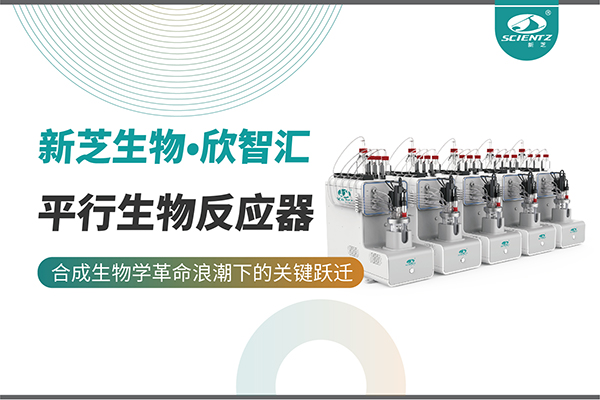 培养菌株和评估工艺参数影响太难太慢？平行生物反应器提供关键解决方案！