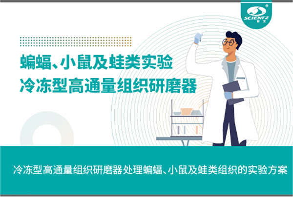 冷冻型高通量组织研磨器处理蝙蝠、小鼠及蛙类组织的实验方案