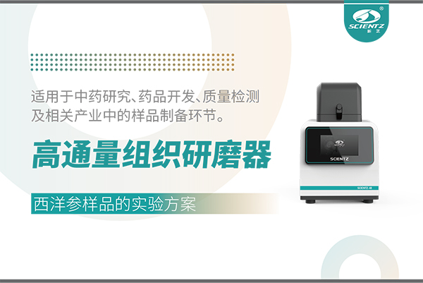 应用案例 I 高通量组织研磨器处理西洋参样品的实验方案