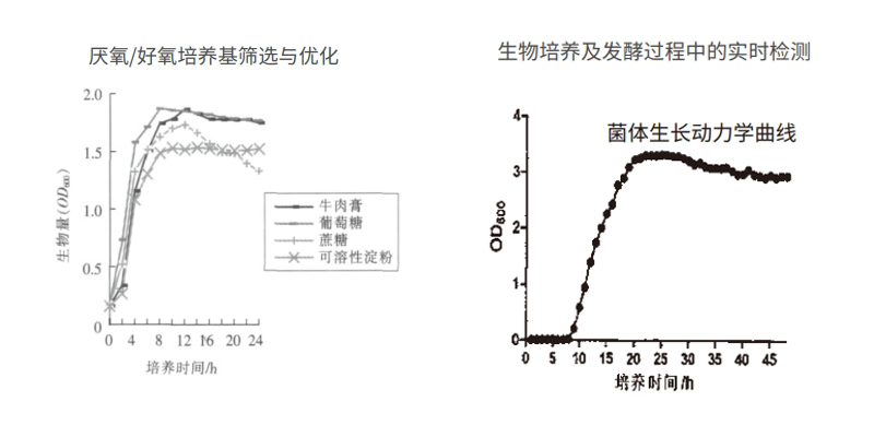 过程安全，结果精准